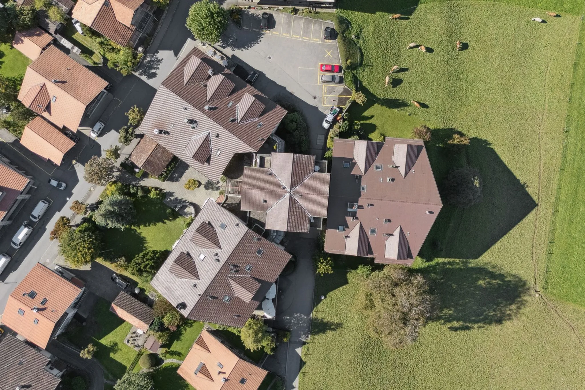 TODO:placeholder