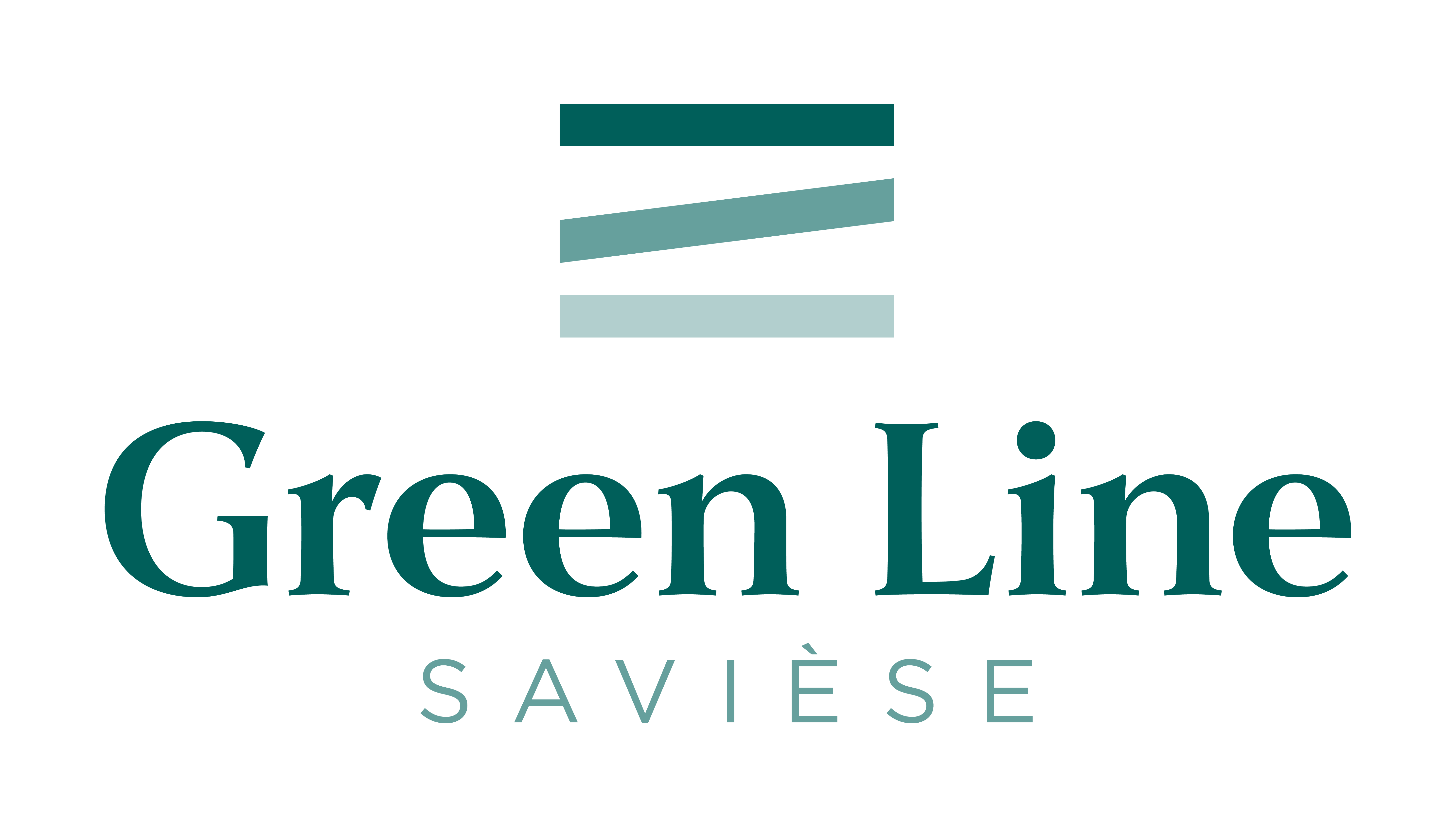 Project logo